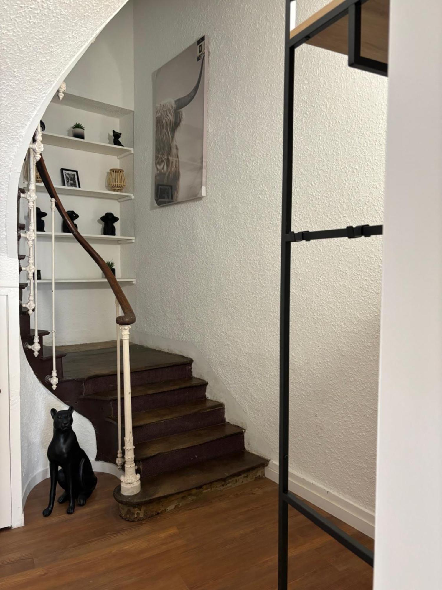 圣艾尼昂Le Duplex Safari公寓 外观 照片